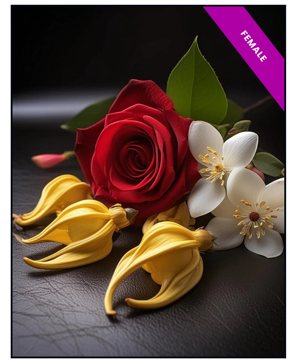 High Quality Generic Oil Based Fragrances (30ml)