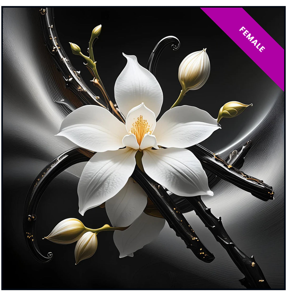 High Quality Generic Oil Based Fragrances (30ml)