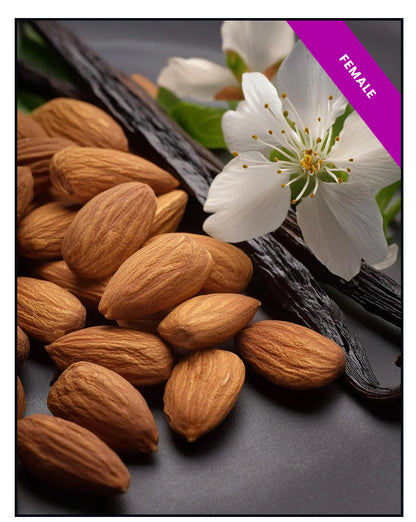 High Quality Generic Oil Based Fragrances (30ml)