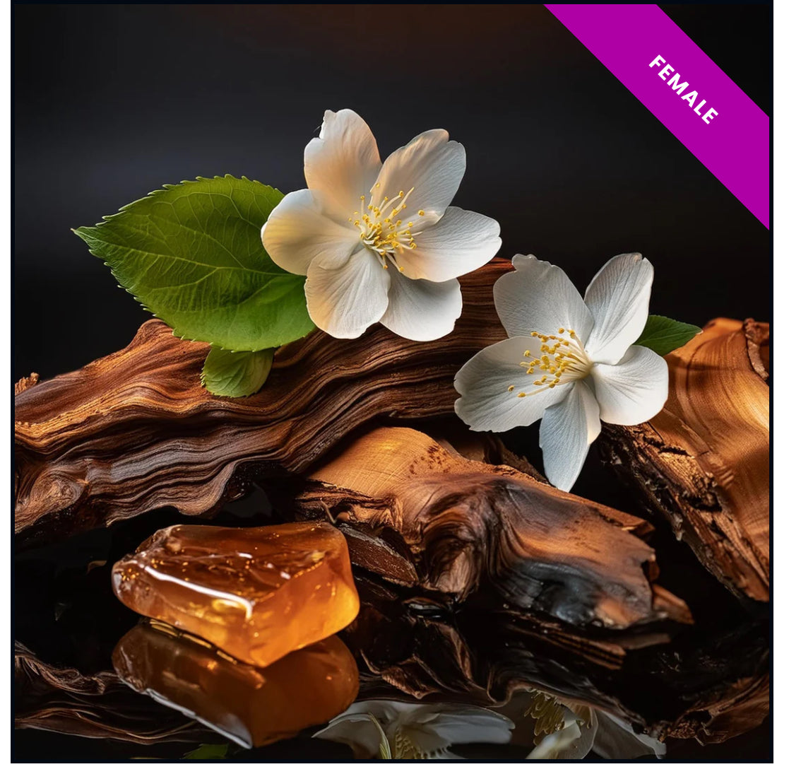 High Quality Generic Oil Based Fragrances (30ml)