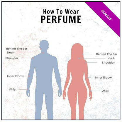 High Quality Generic Oil Based Fragrances (30ml)