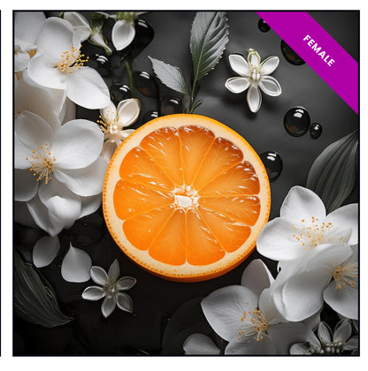 High Quality Generic Oil Based Fragrances (30ml)