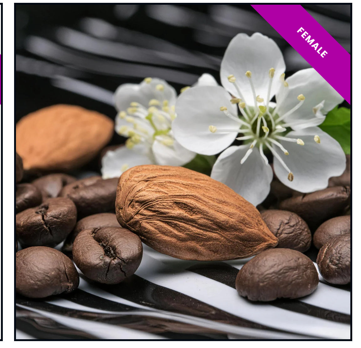 High Quality Generic Oil Based Fragrances (30ml)