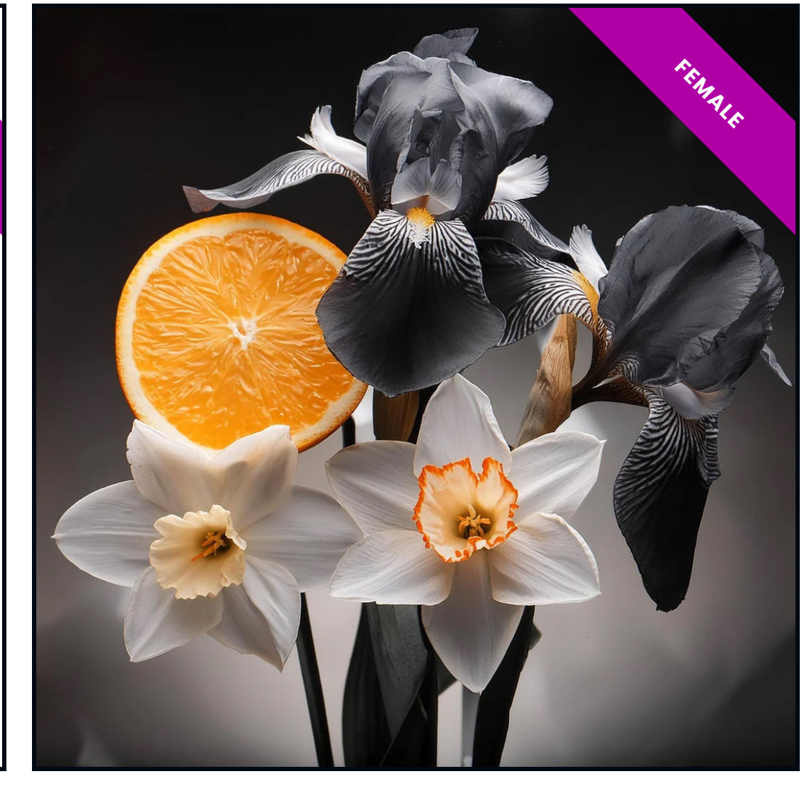 High Quality Generic Oil Based Fragrances (30ml)