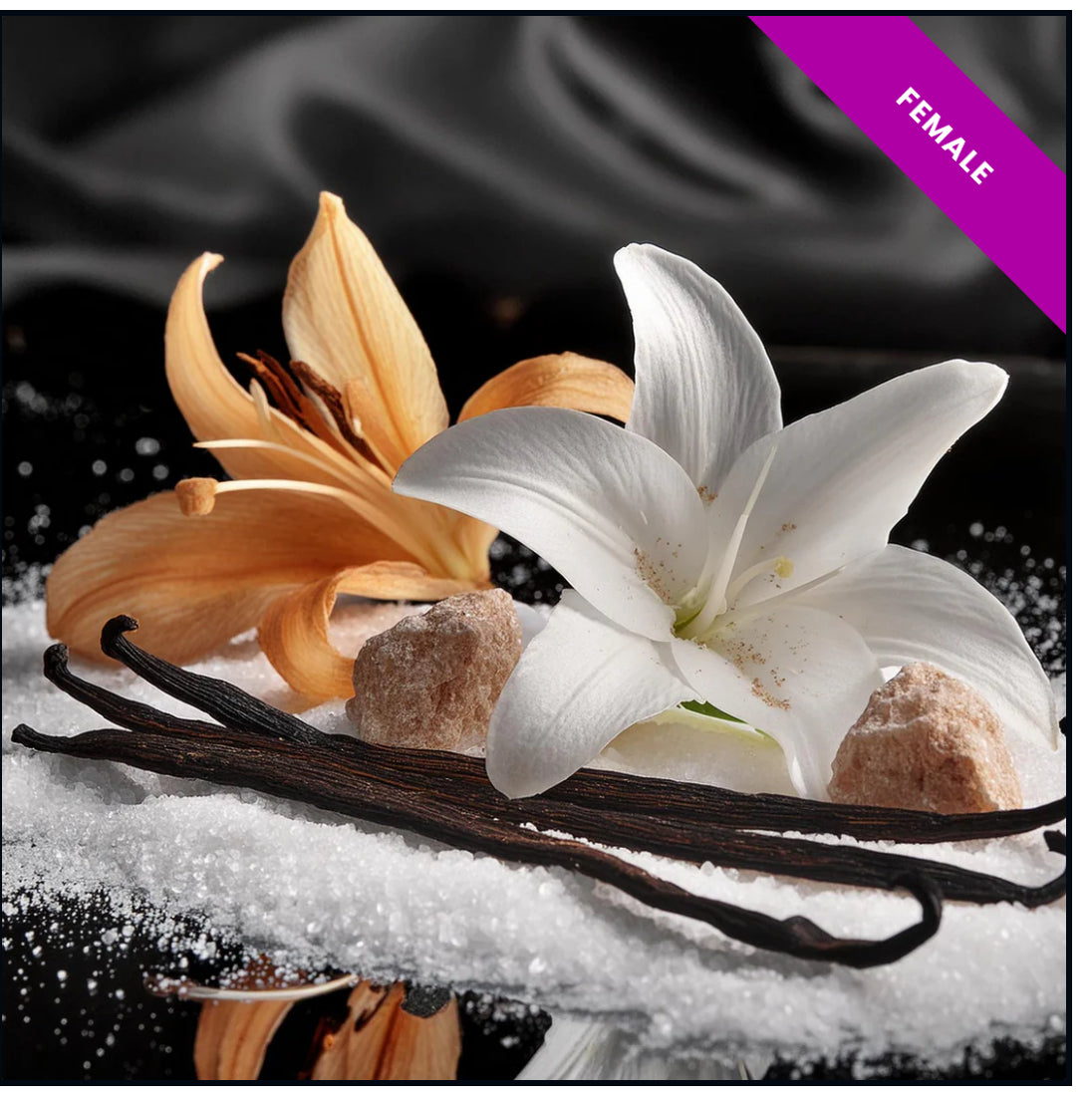 High Quality Generic Oil Based Fragrances (30ml)