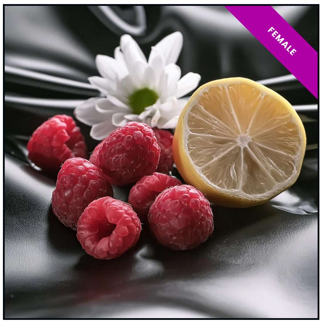 High Quality Generic Oil Based Fragrances (30ml)